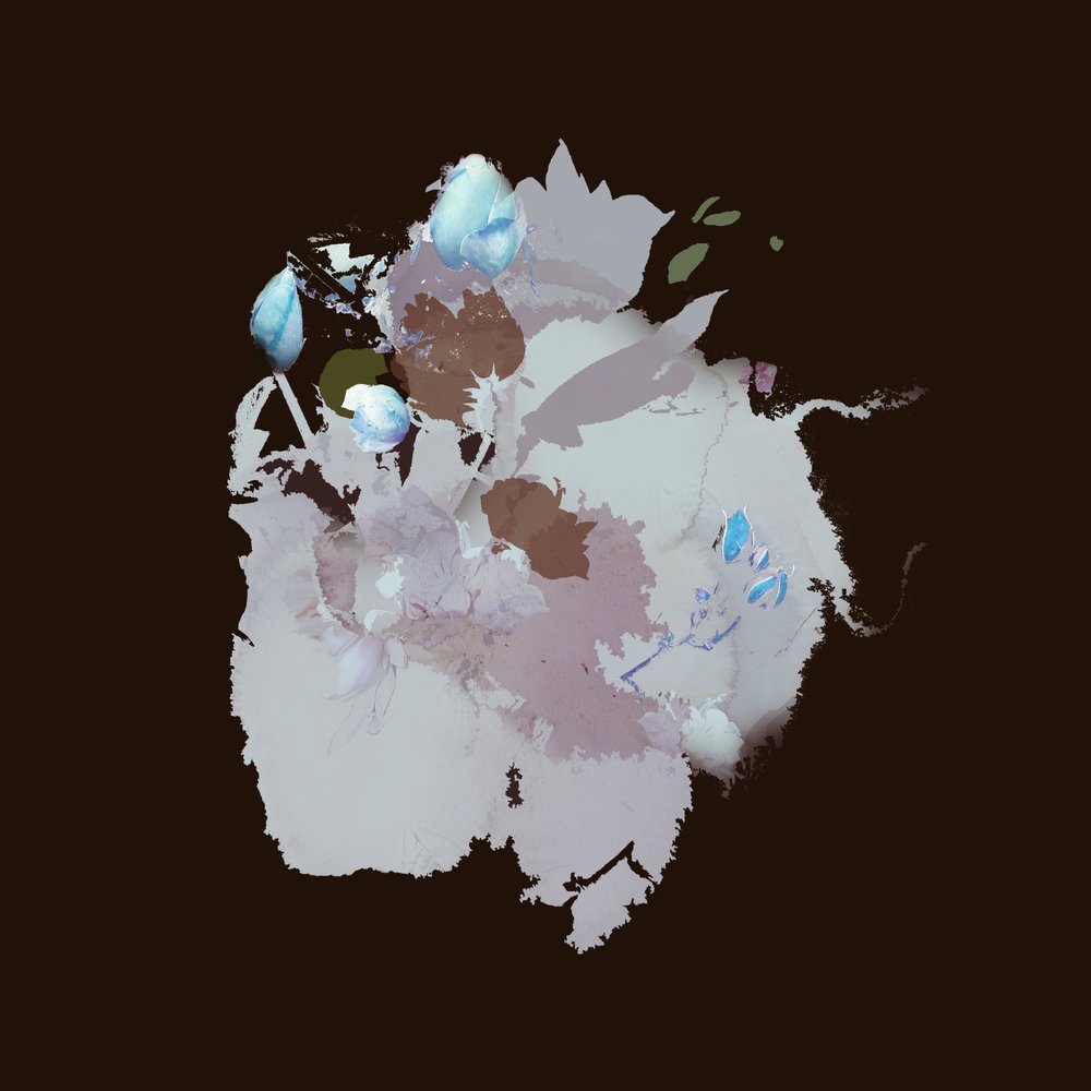 Dreamy Blue Blooms