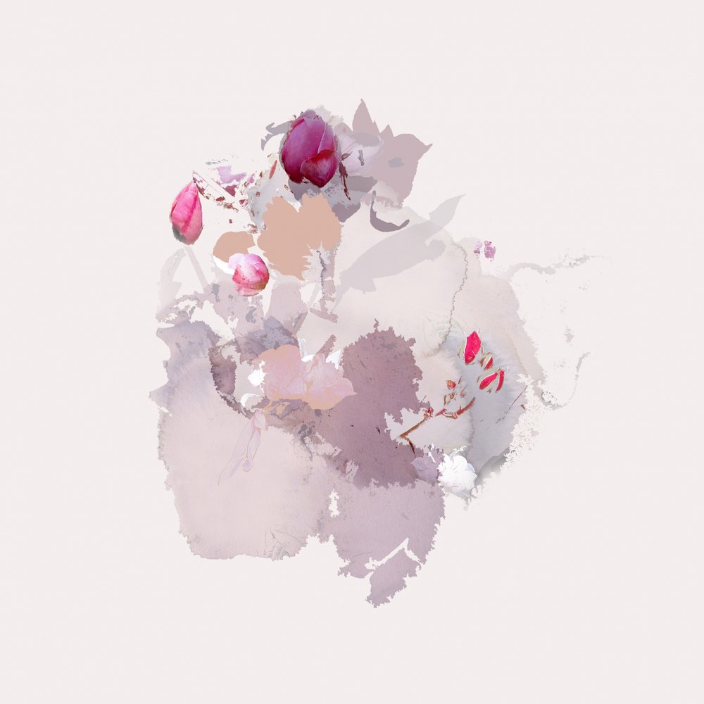 Pink Bloom Abstract
