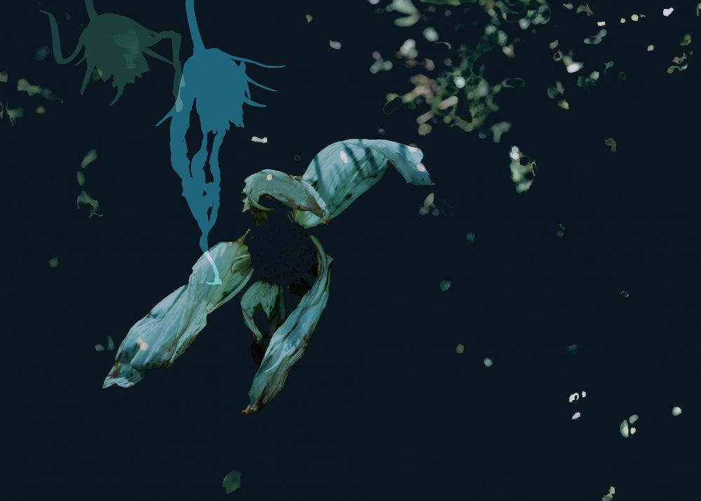 Dark Ethereal Flora