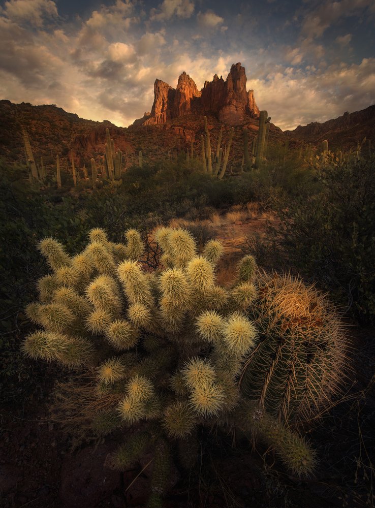 Arizona Desert Sunset