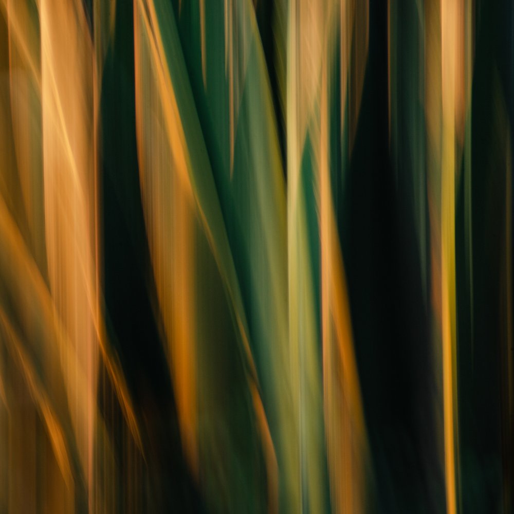 Golden Green Blur
