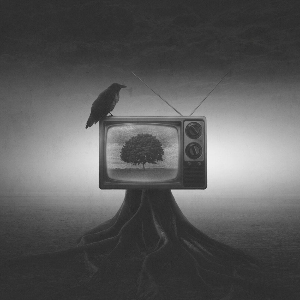 Crow on Vintage TV