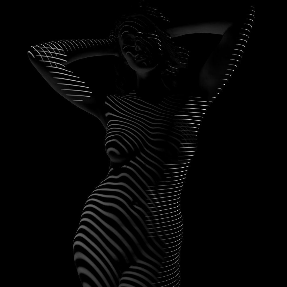 Elegant Striped Silhouette