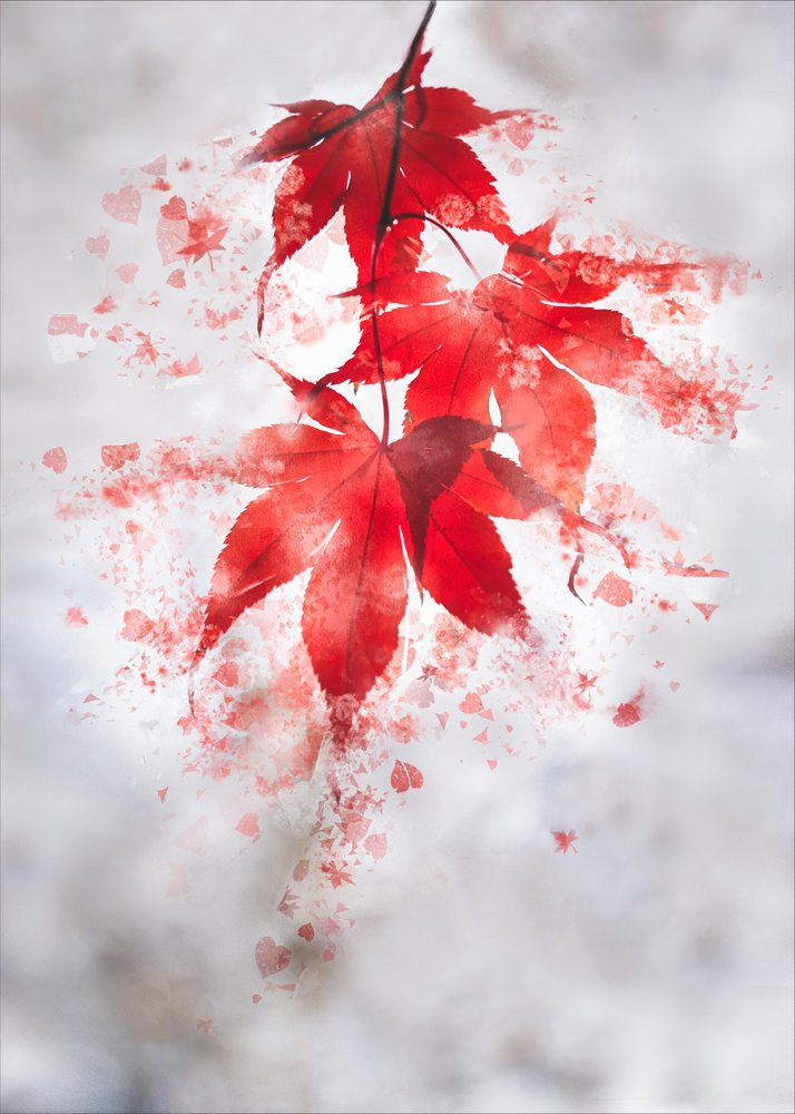 Autumn Maple Hearts