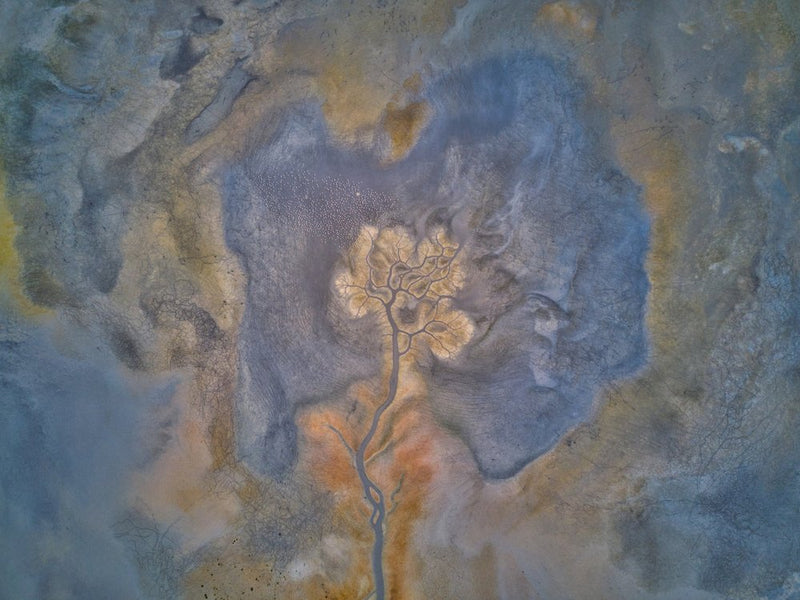 Organic Blue Gold Landscape