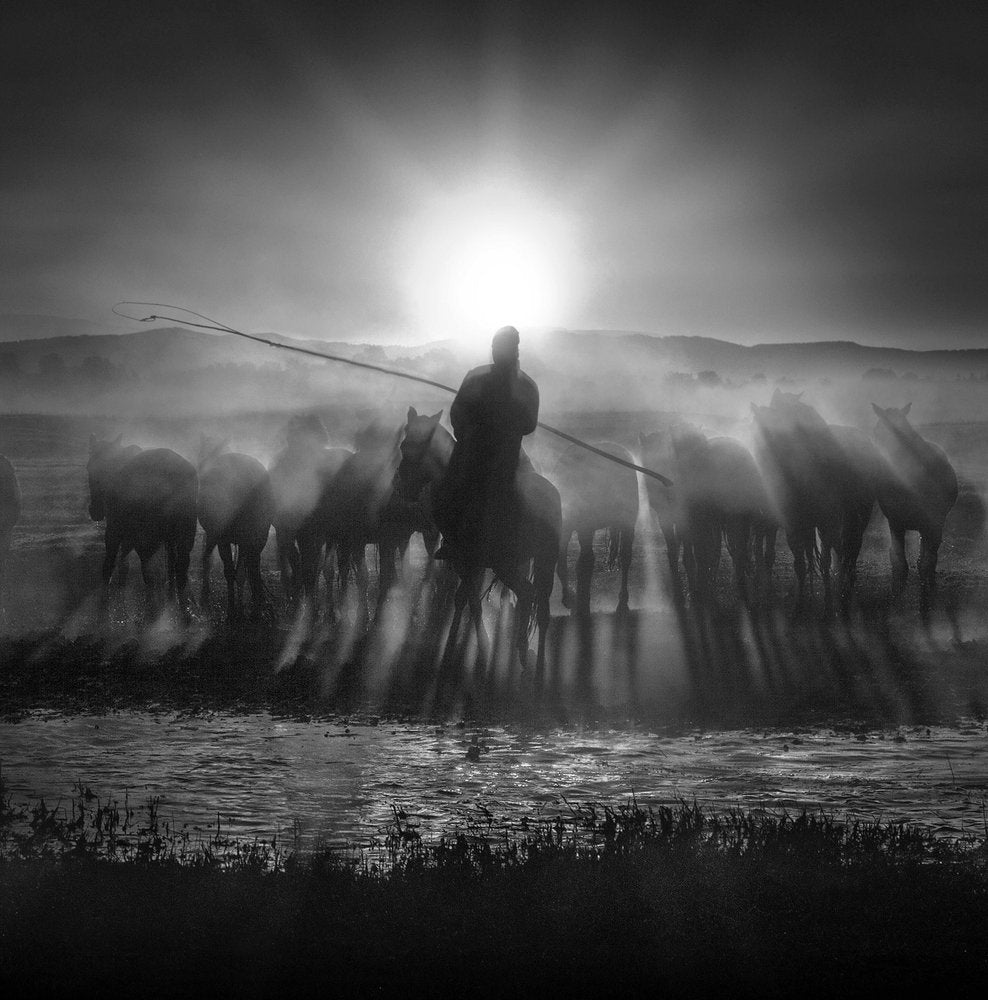 Wild Horses At Dawn
