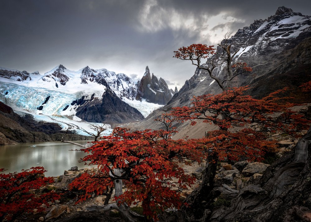 Red Trees Mountain Glacier