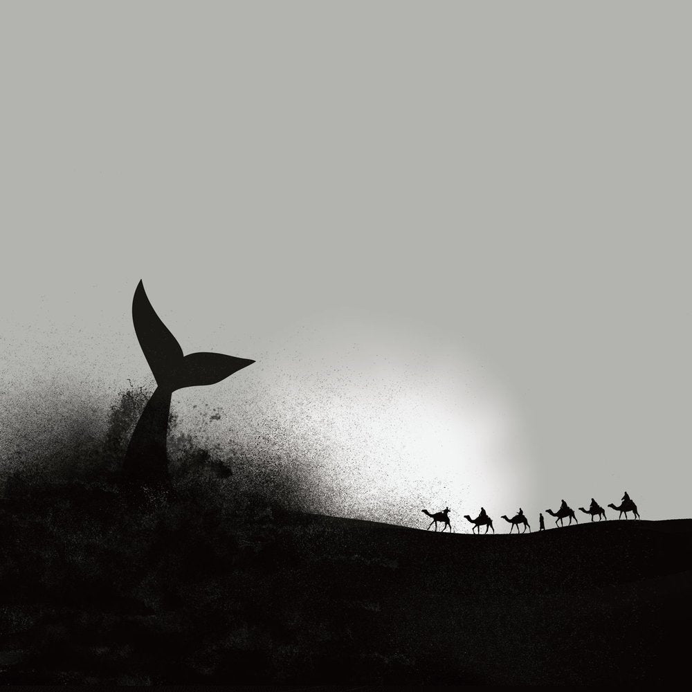Whale Tail Desert Journey