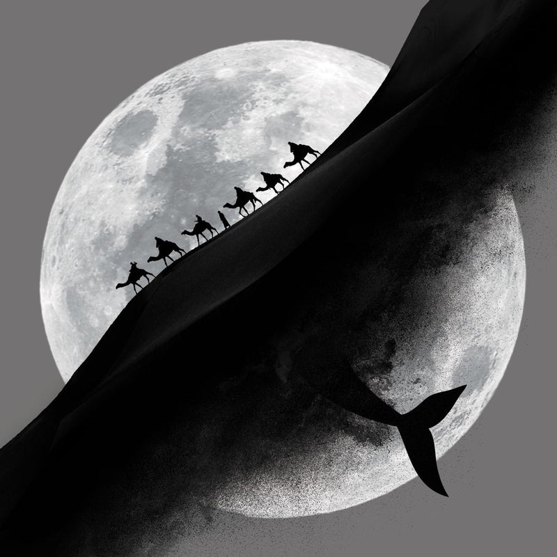 Moon Whale Desert Journey