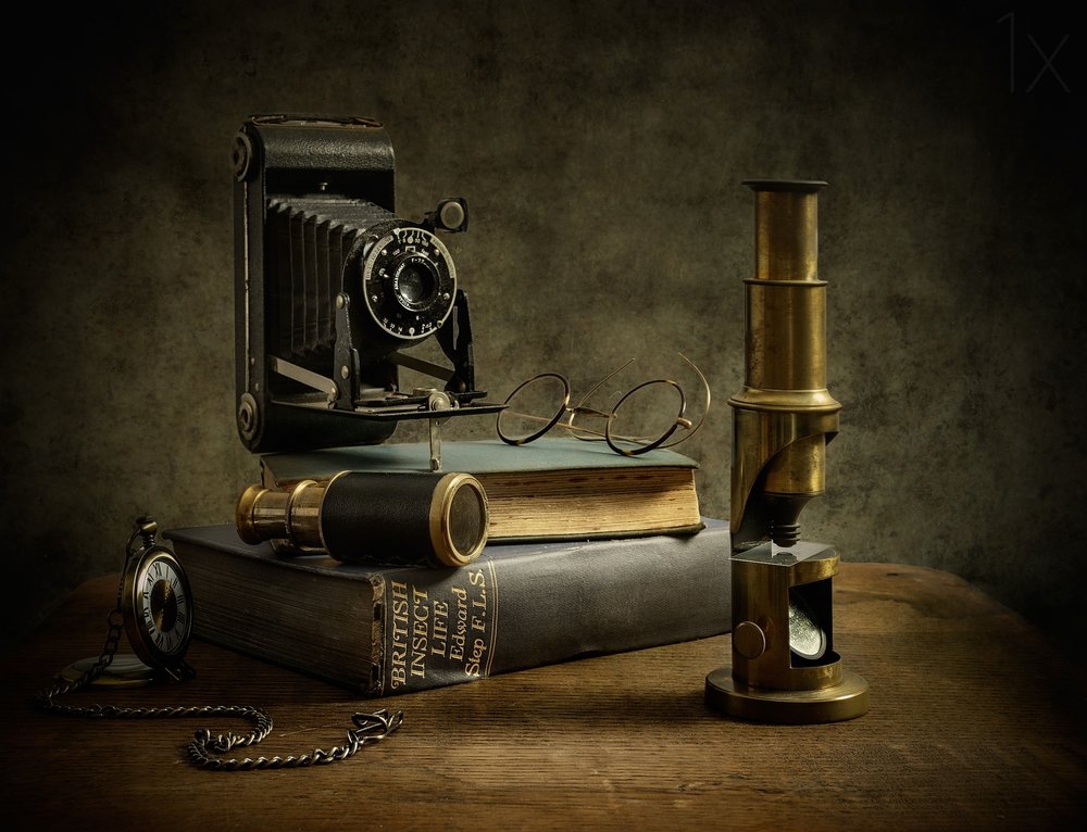Old World Study