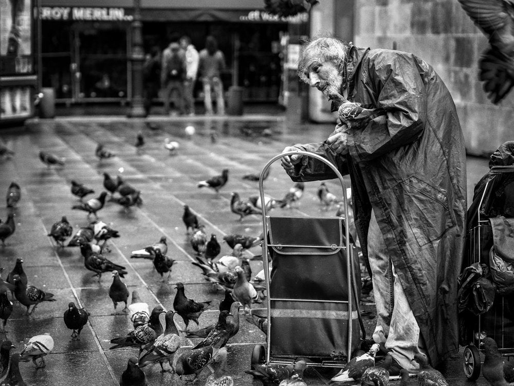 Old Man Feeding Pigeons