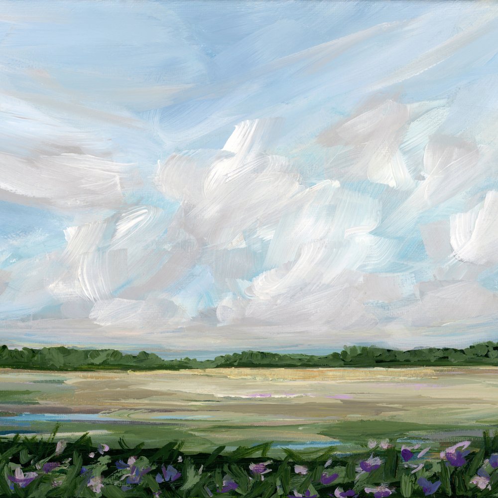 Cloudy Meadow With Flowers