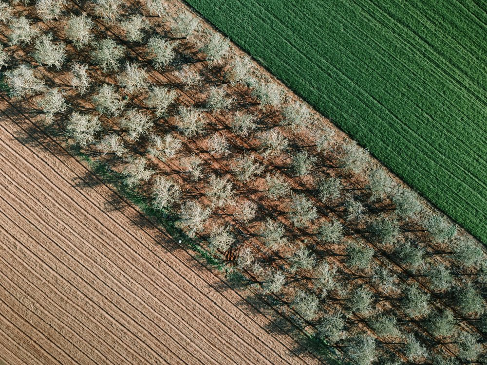 Diagonal Farm Fields