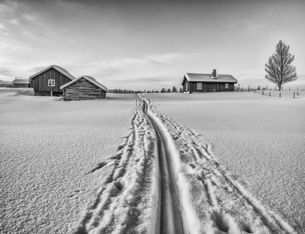 Snowy Cabin Ski Tracks