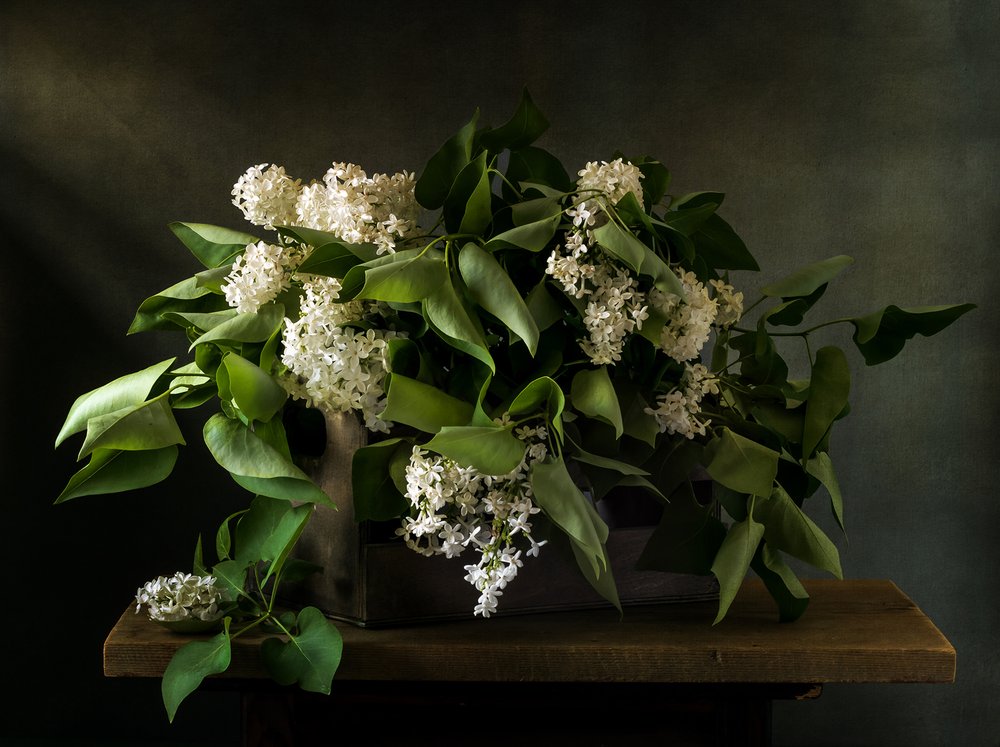 Moody Lilac Bouquet