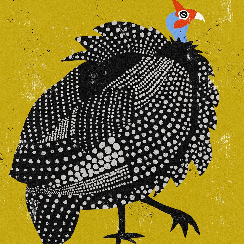 Spotted Guinea Fowl