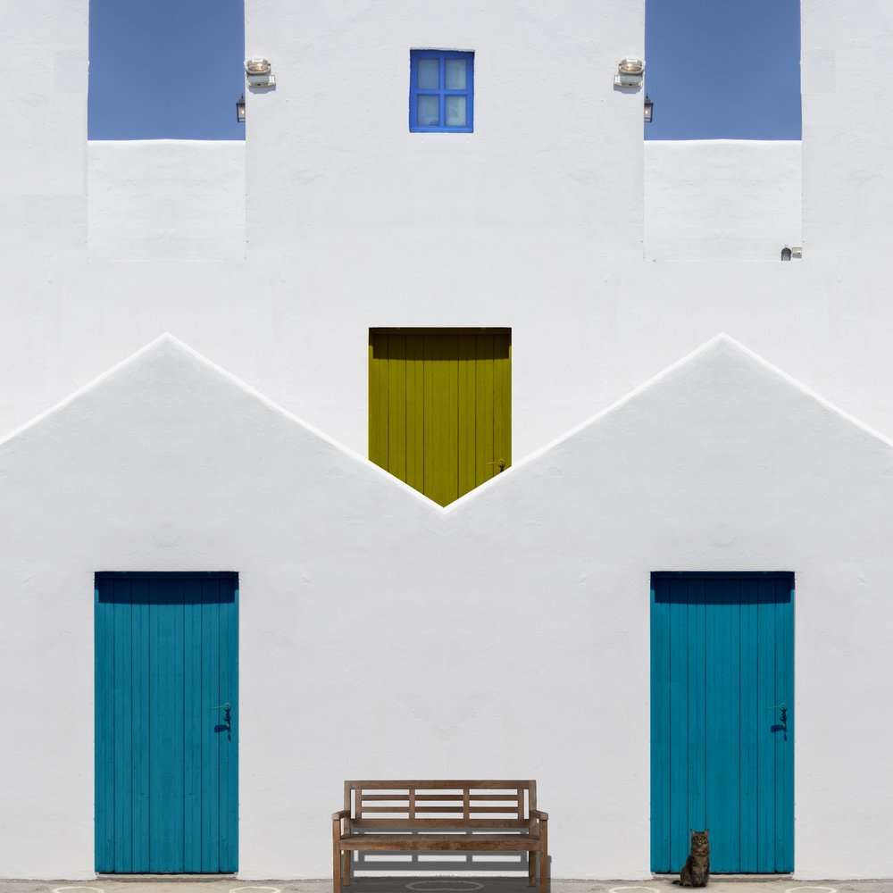 Colorful Facade Cat