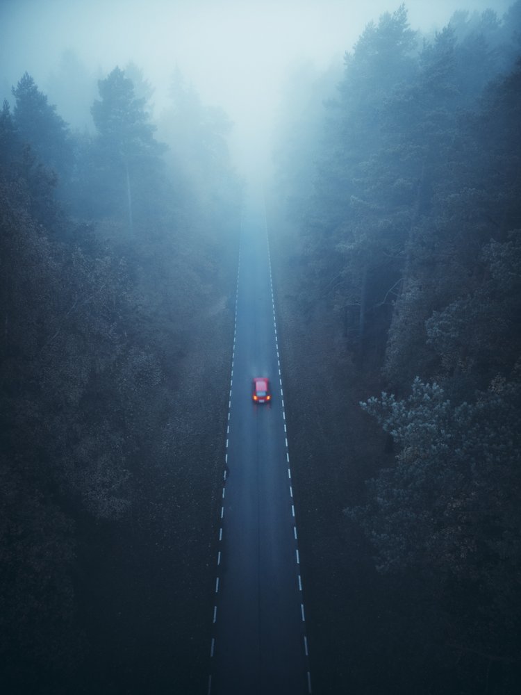 Misty Forest Drive