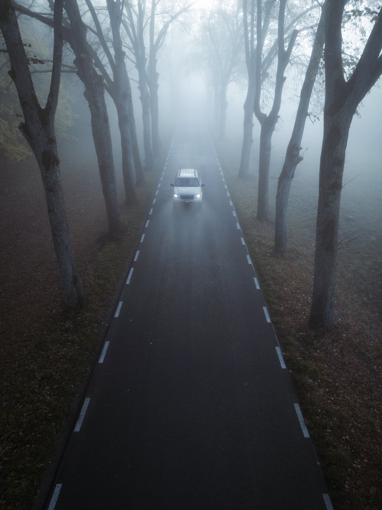 Mysterious Foggy Road