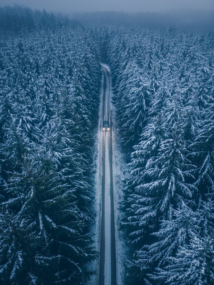 Winter Forest Drive