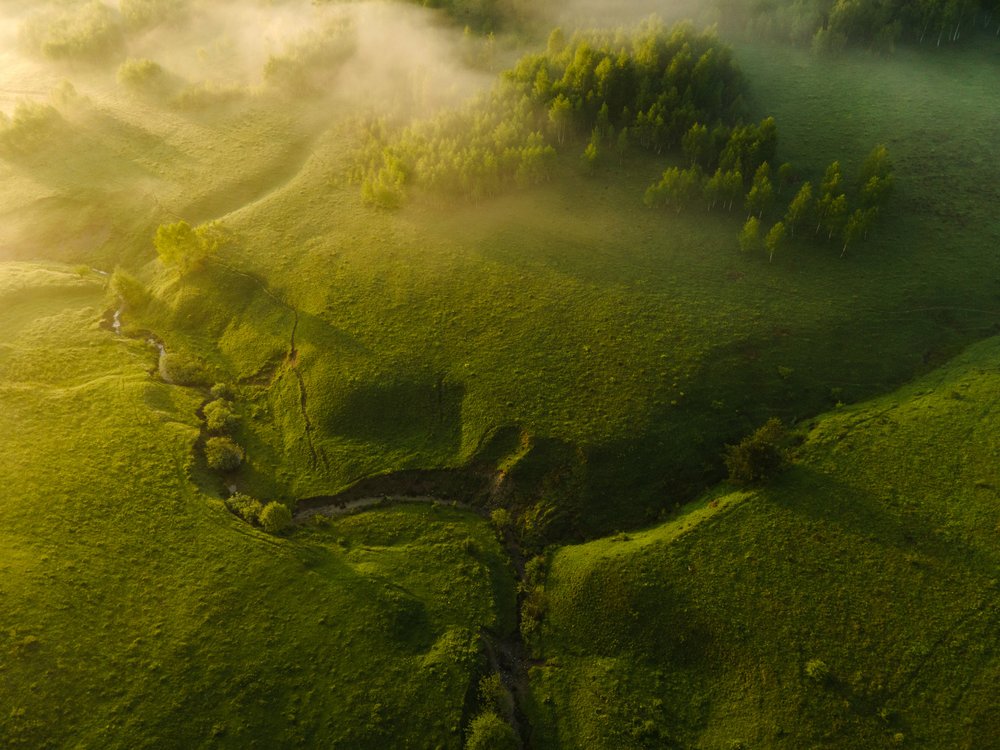 Misty Green Valley Morning