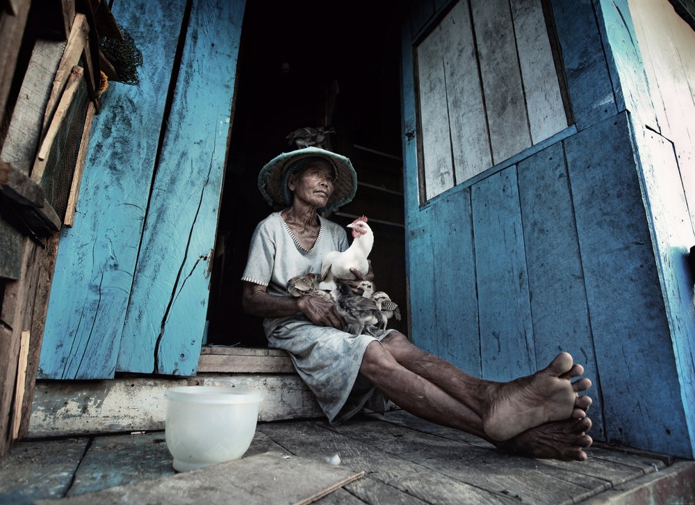 Elderly Woman Her Chickens