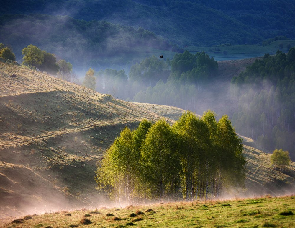 Misty Morning Hills