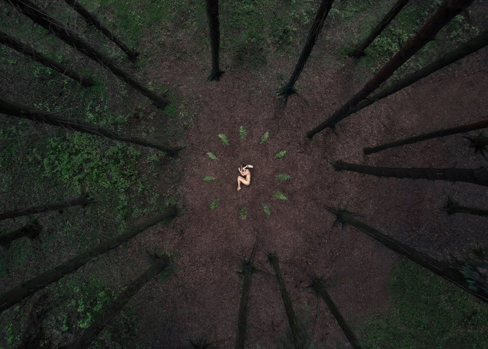 Serene Forest Embrace