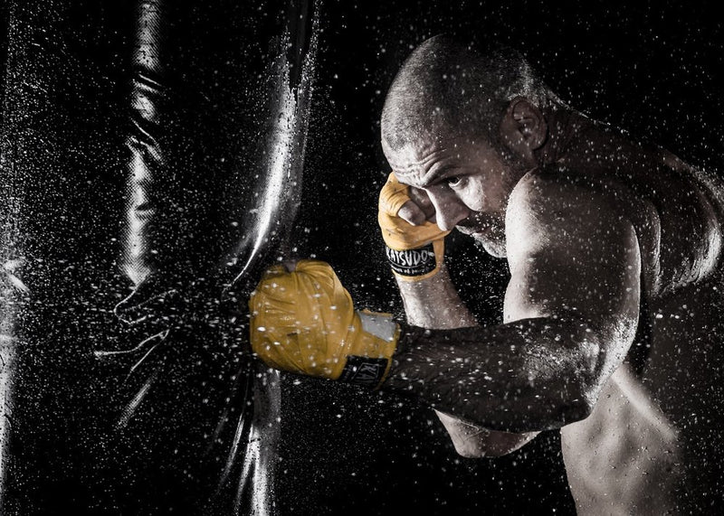 Intense Boxer Training