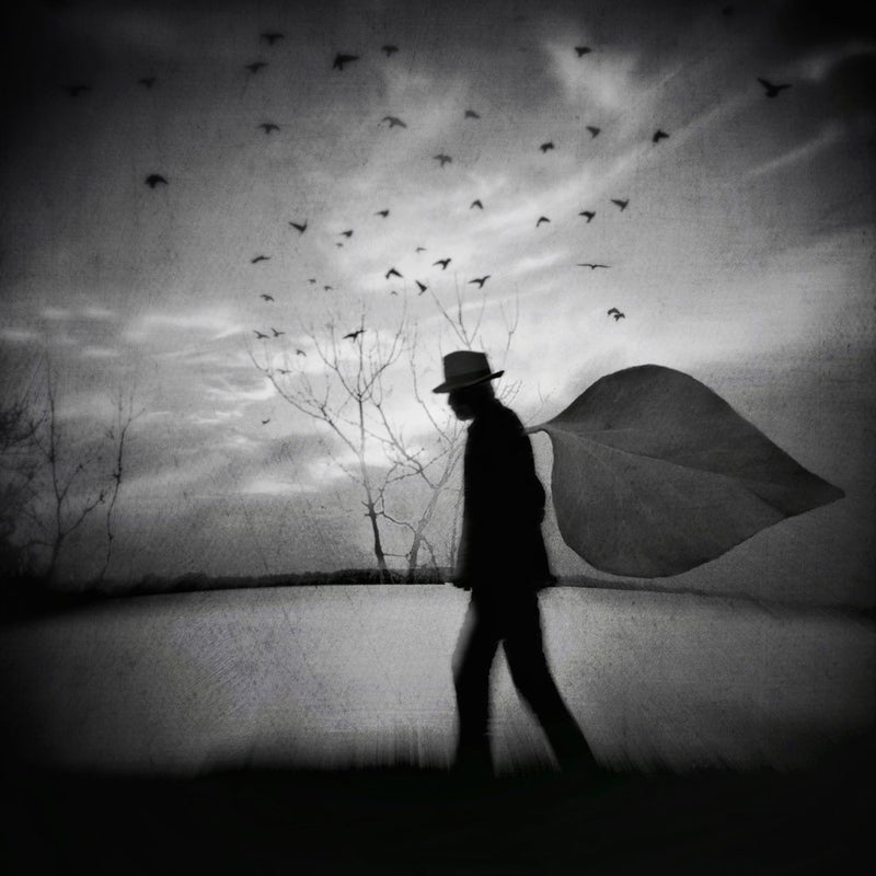 And the wind was blowing gently over Mr. K