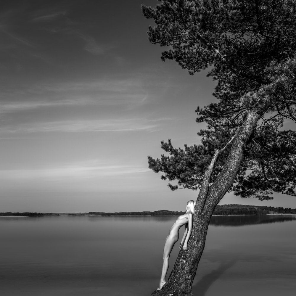 Serene Figure By Lake Tree