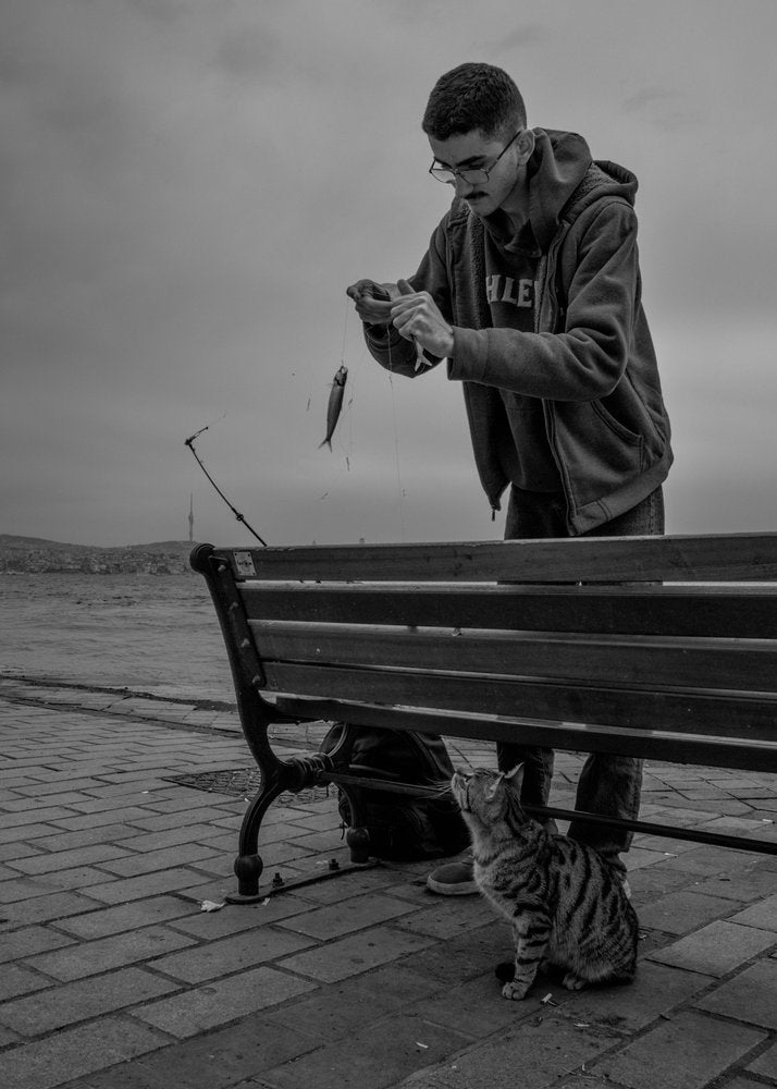 Fisherman and Curious Cat
