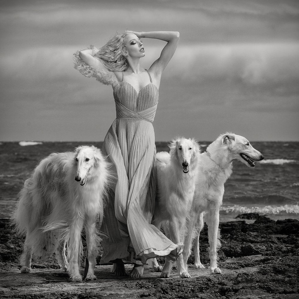 Elegant Woman Borzoi Hounds