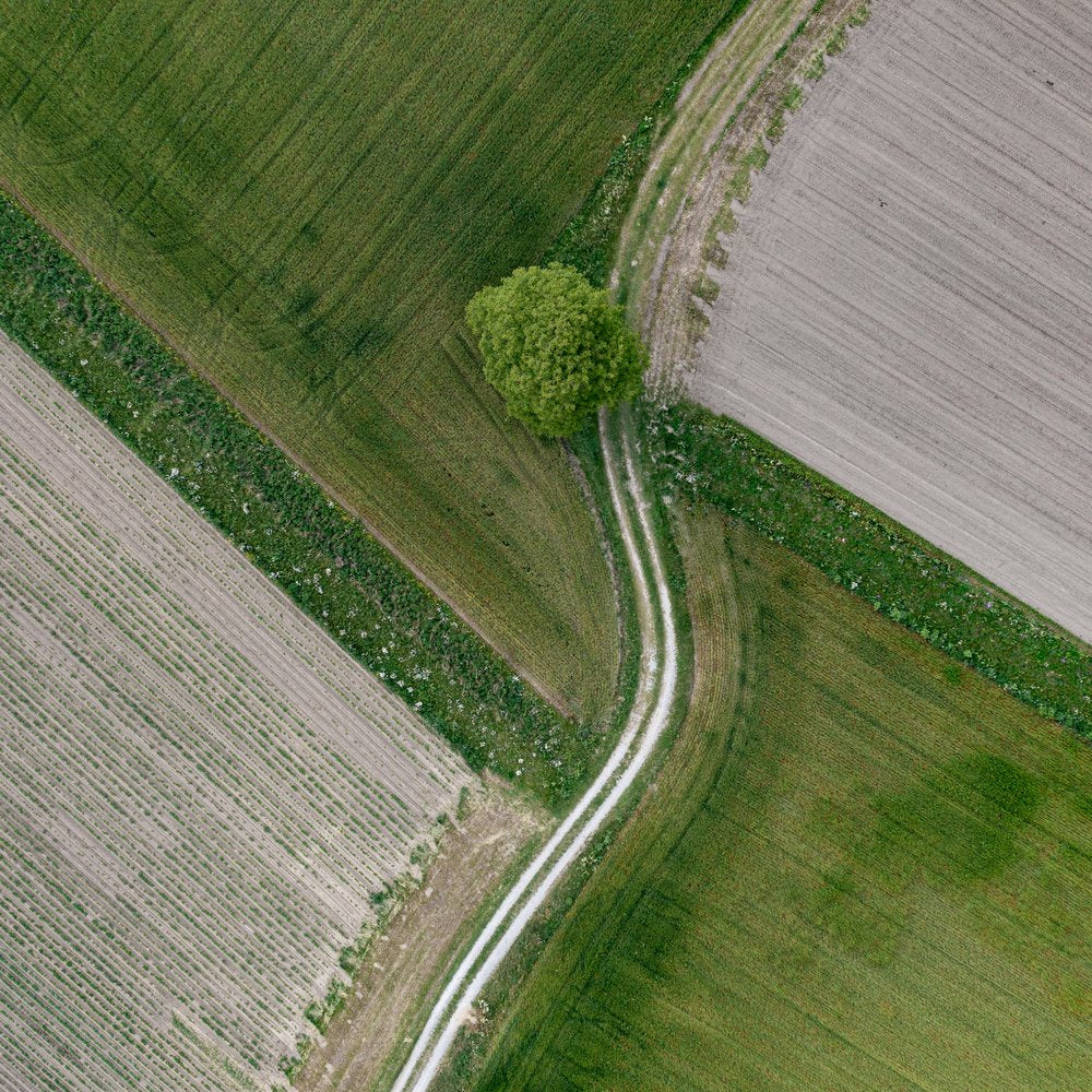 Green Fields Winding Path