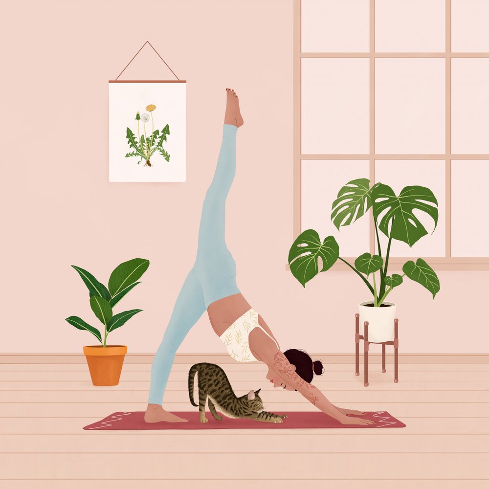 Home Yoga with Cat