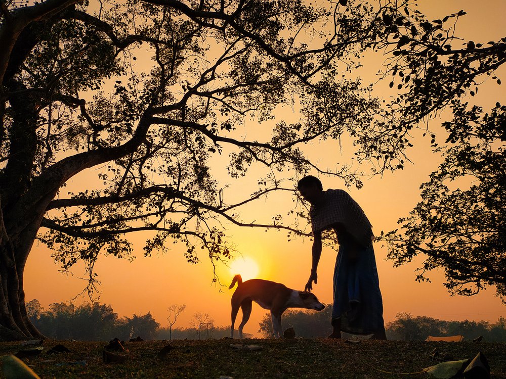 Friendship at Sunset