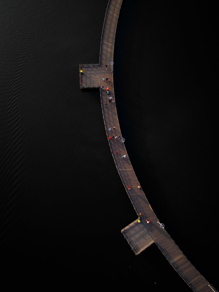 Dark Water Boardwalk