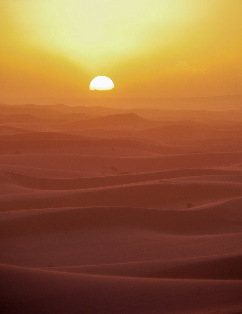 Golden Desert Sunrise