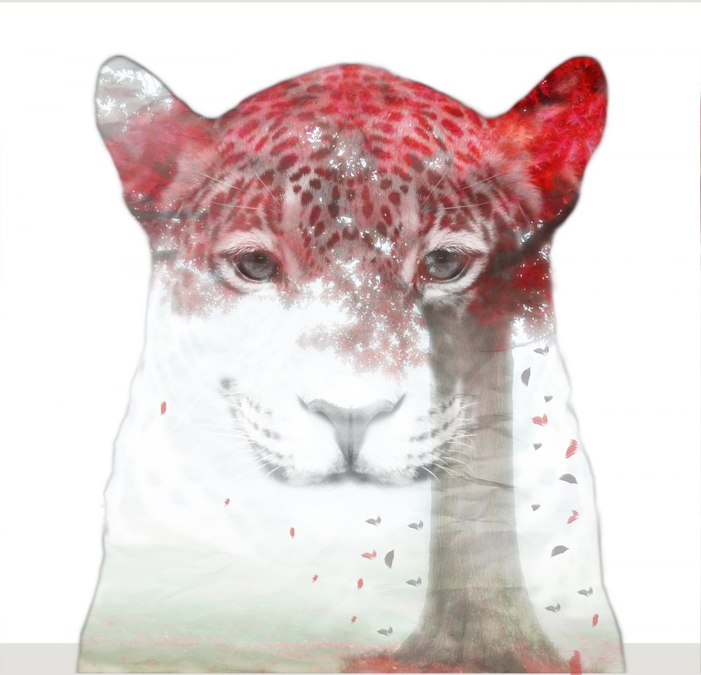 Red Leaf Leopard