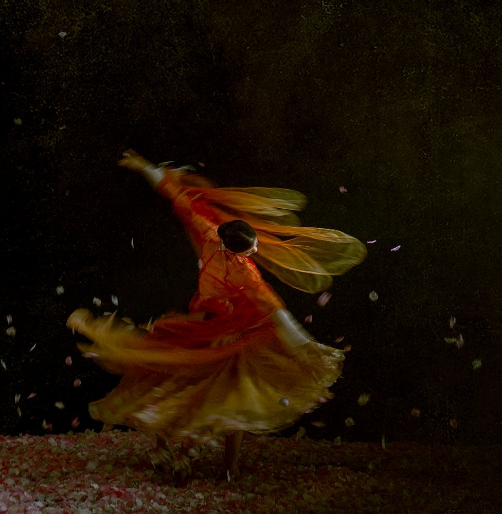 Flowing Dancer Petals
