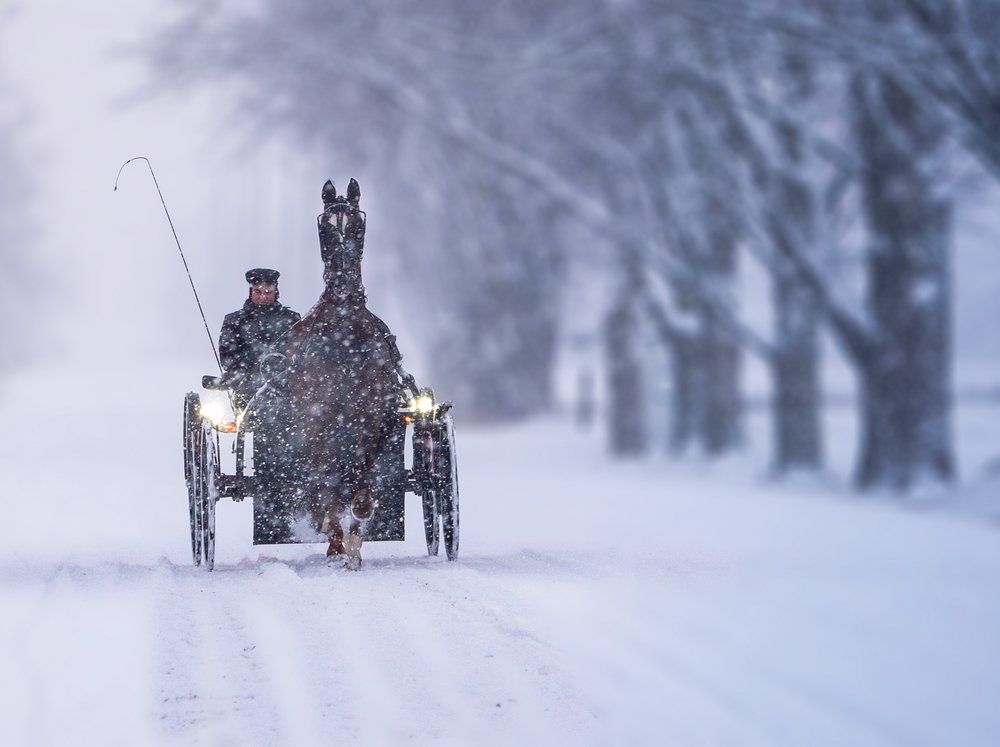 Snowy Horse Carriage