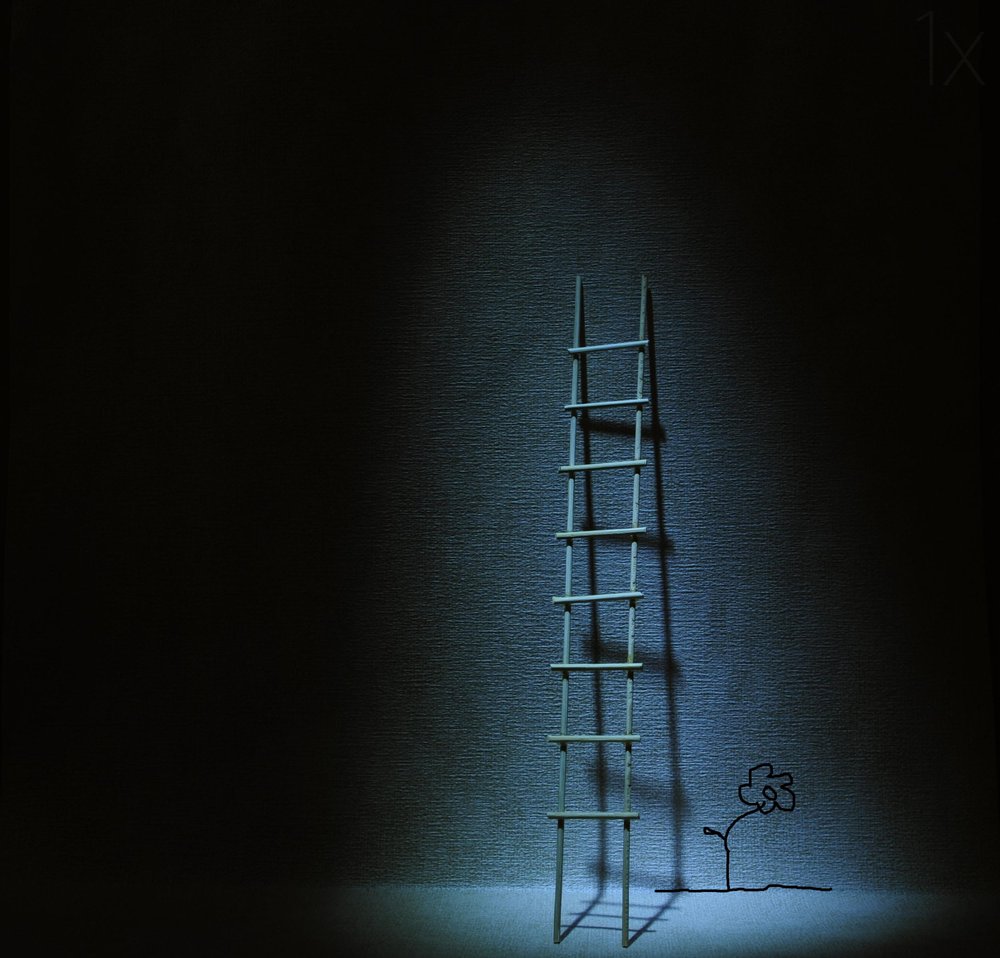 Ladder to Growth