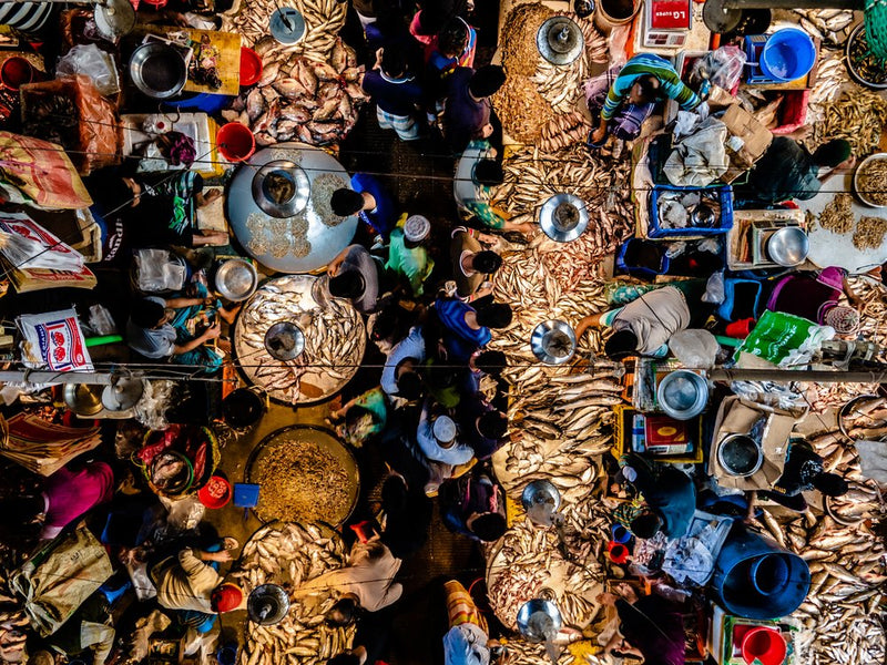 Bustling Fish Market