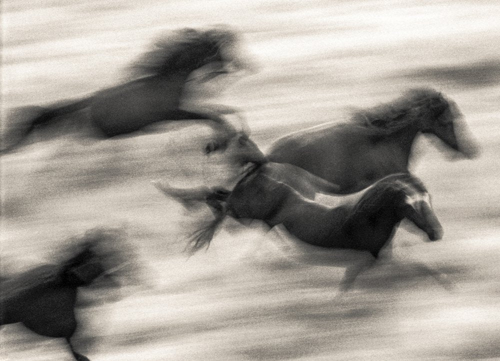 Wild Horses Blur