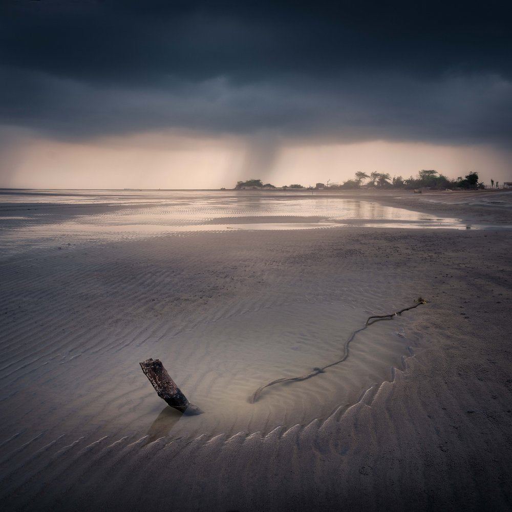Stormy Beach Driftwood
