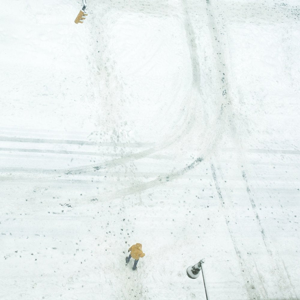 Yellow Jacket Snow Walk