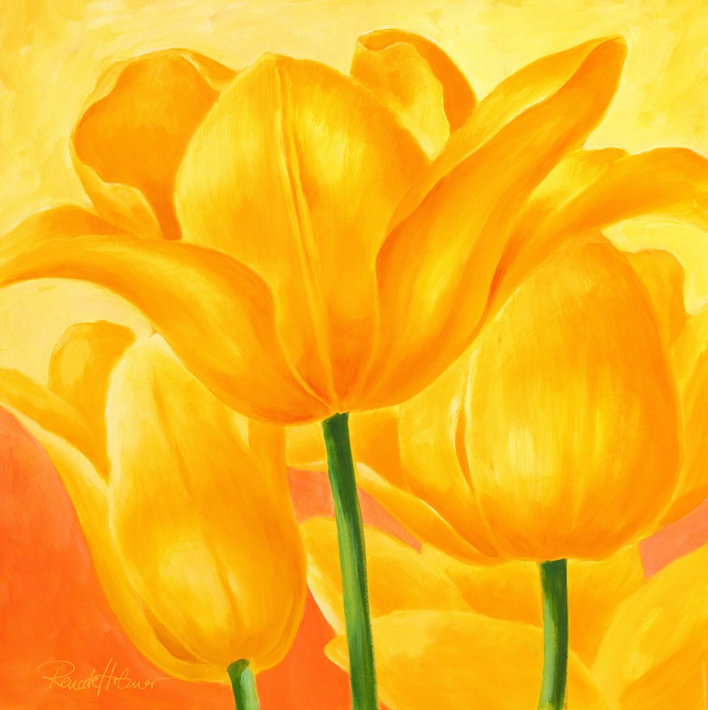 Sunny Yellow Tulips