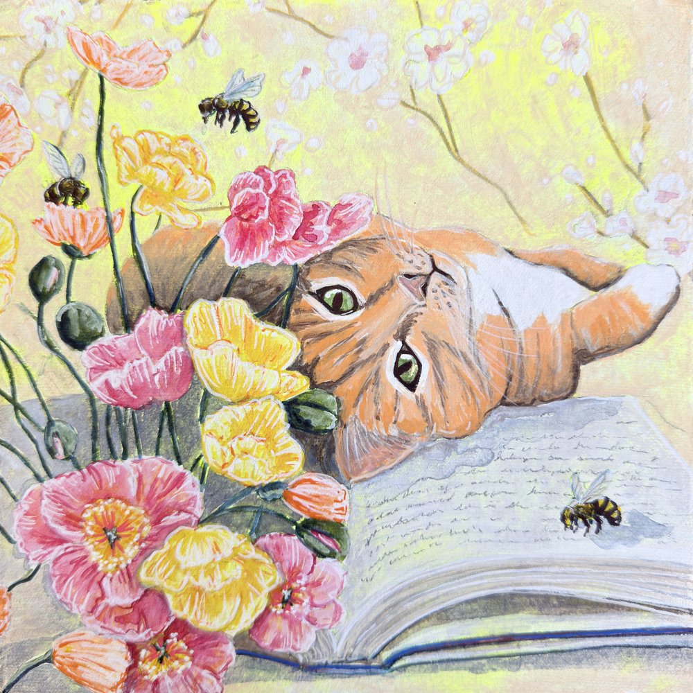 Cat Among Poppies