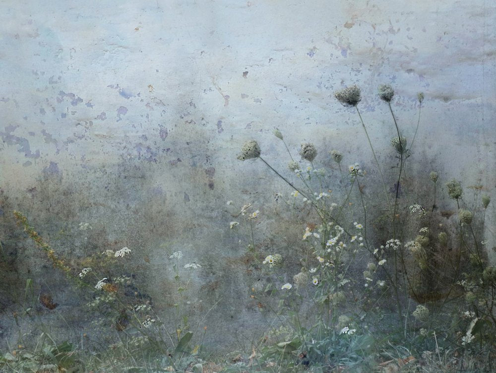 Muted Wildflower Serenity