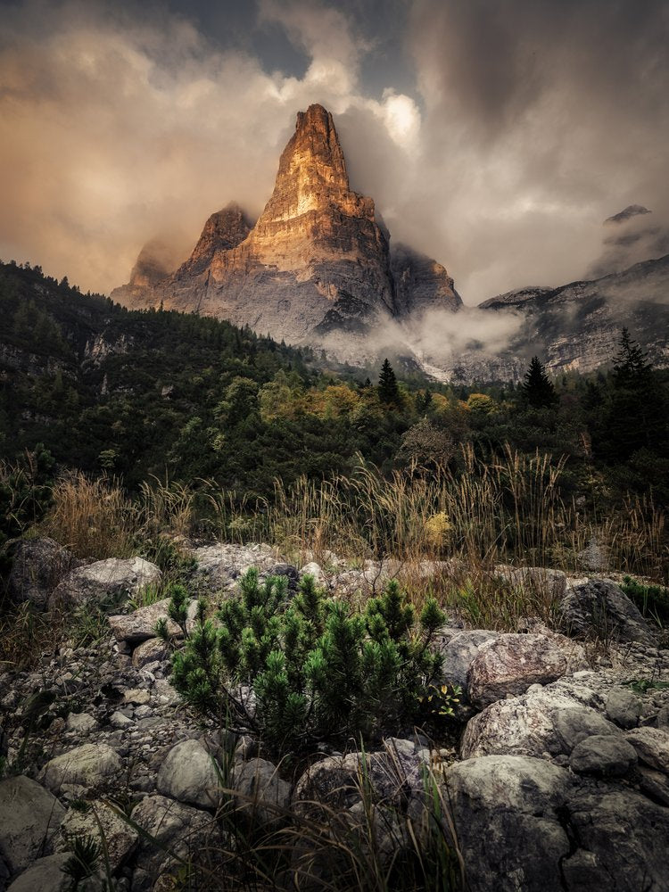 Towering Golden Peak